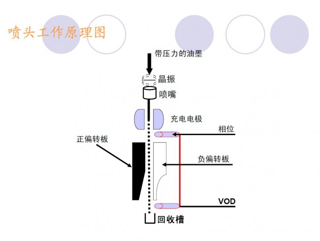 圖片3