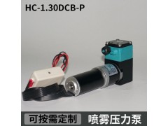 HC1.30DCB-P尿素噴霧壓力泵南華噴碼機(jī)高壓泵